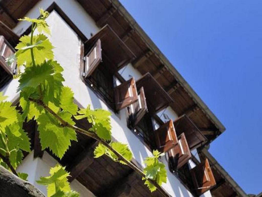 Hotel Stoikos Vizitsa Bilik gambar